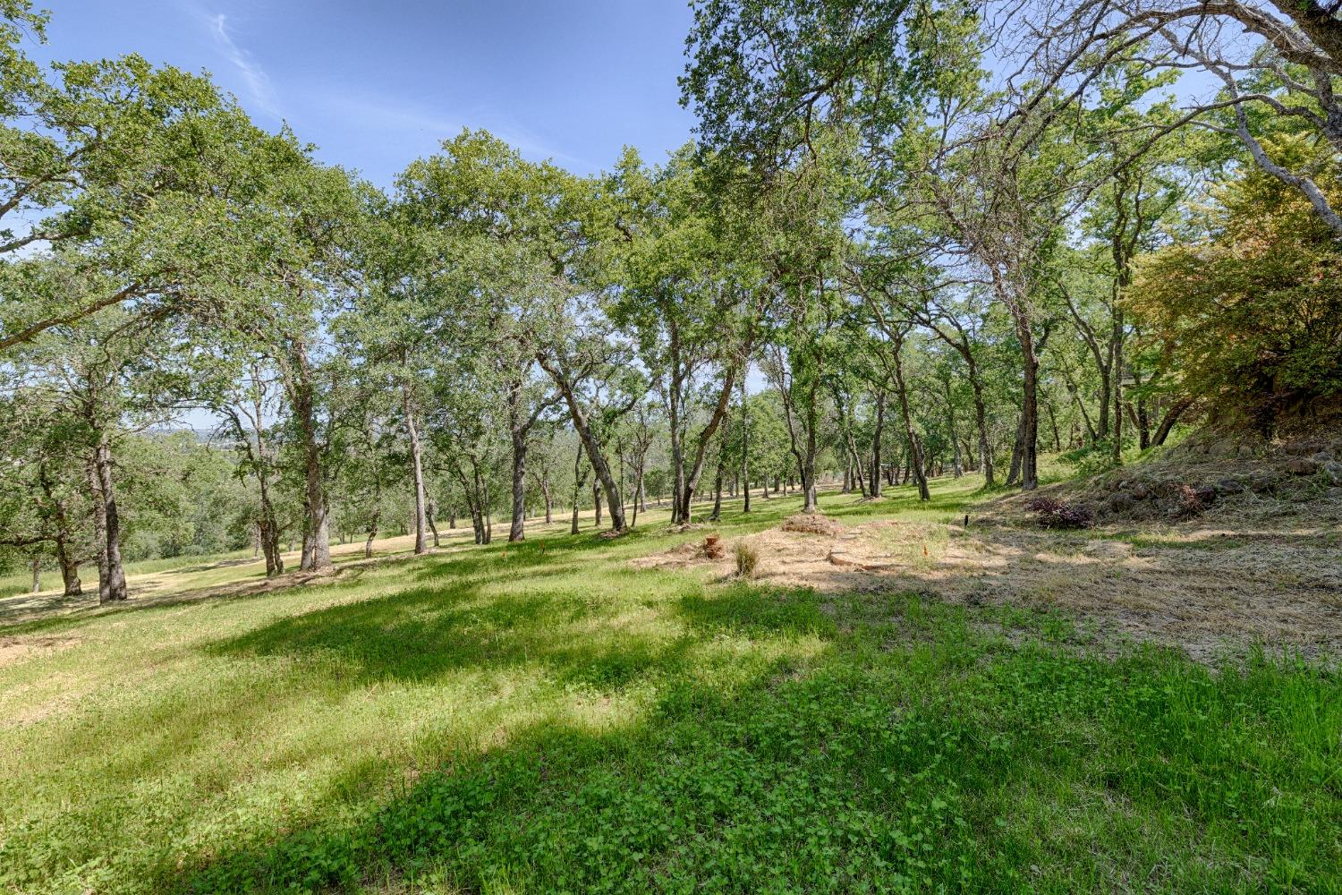 Ridge Park Drive, Loomis, California image 43