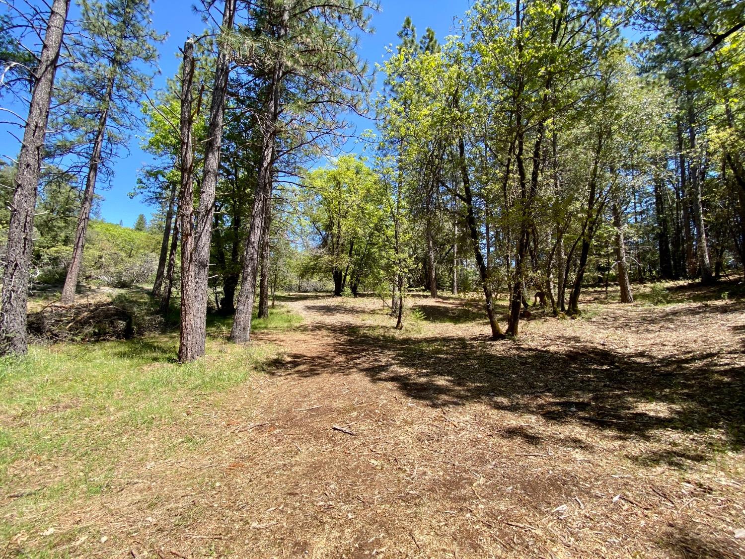 Red Dog Road, Nevada City, California image 21