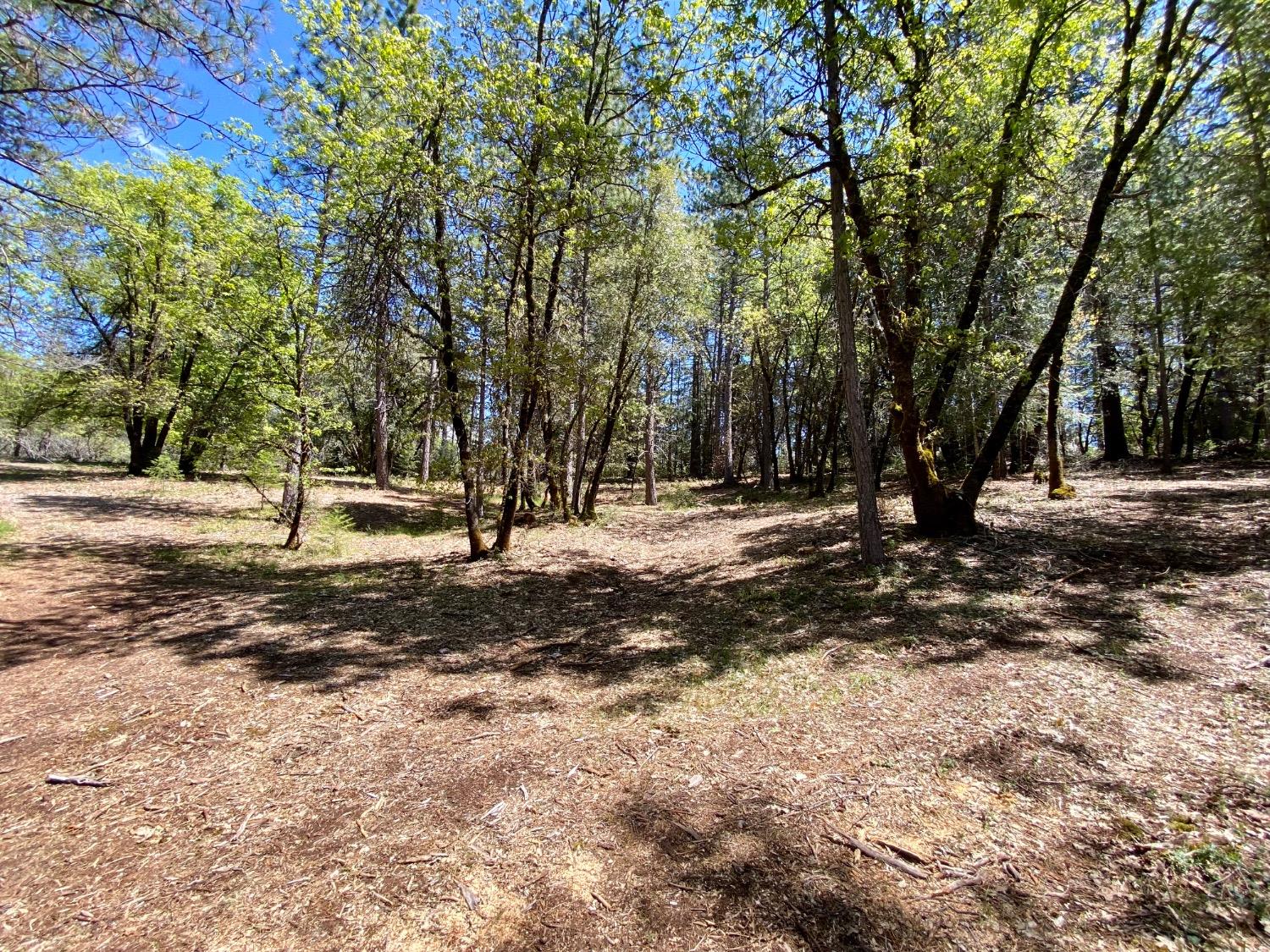 Red Dog Road, Nevada City, California image 20