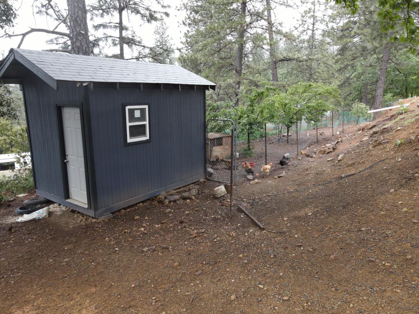 Tawny Lane, Colfax, California image 11