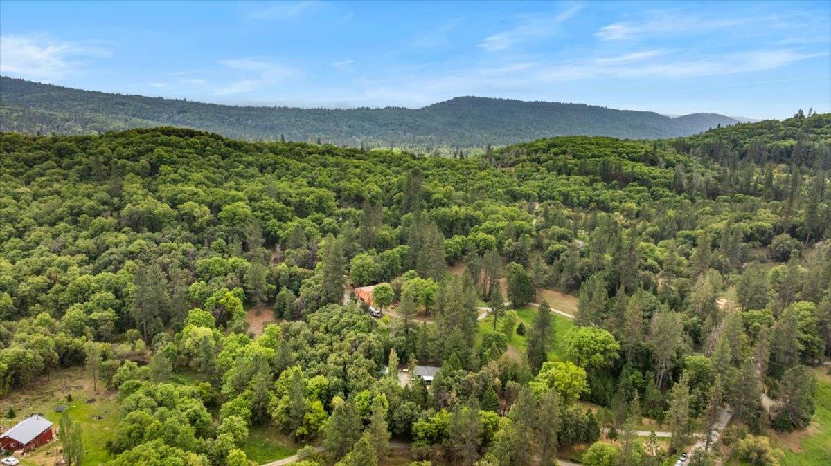 Robinson Road, Nevada City, California image 28