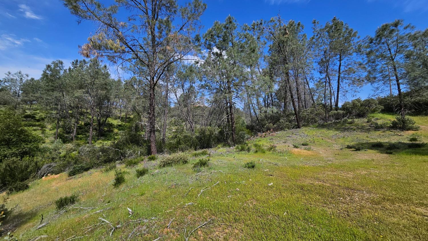 Hidden Bridge Road, El Dorado Hills, California image 5