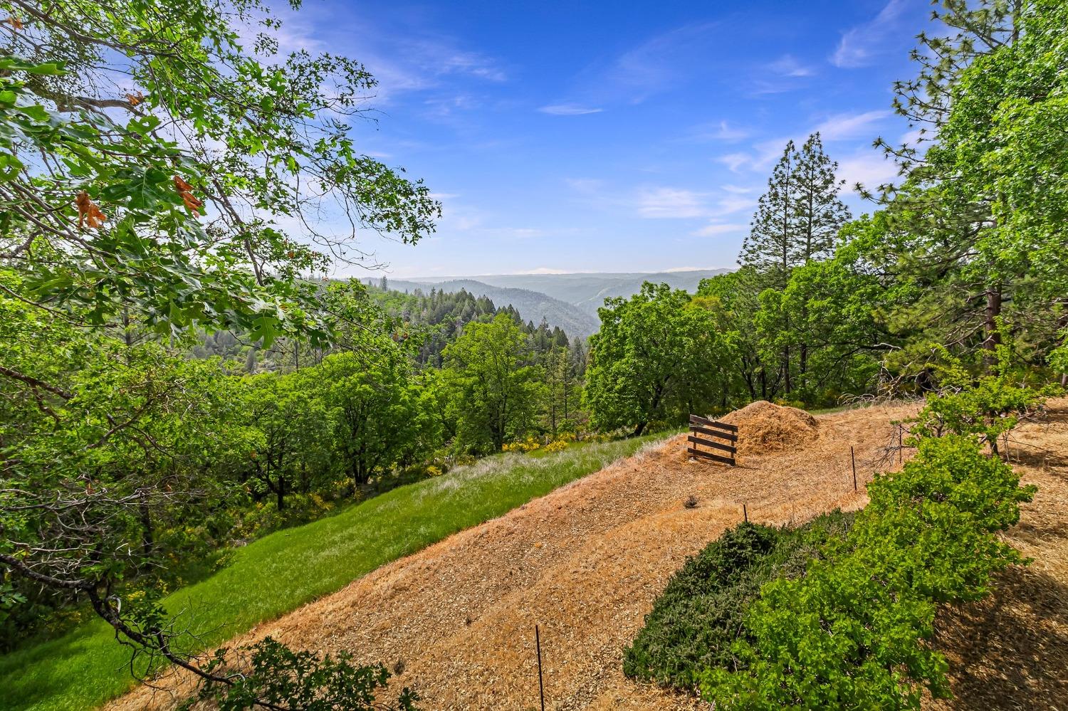 Detail Gallery Image 39 of 71 For 2240 Slate Ct, Greenwood,  CA 95635 - 3 Beds | 2/1 Baths