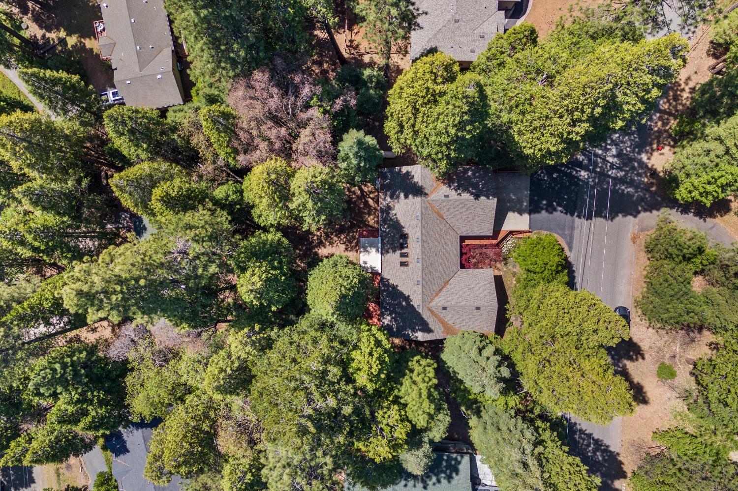 Detail Gallery Image 66 of 73 For 4013 Garnet Rd, Pollock Pines,  CA 95726 - 4 Beds | 3 Baths