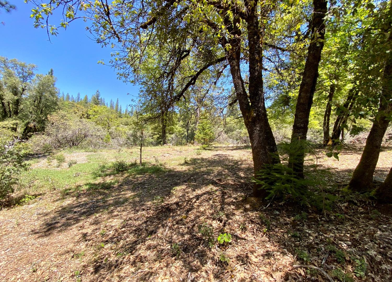 Red Dog Road, Nevada City, California image 18