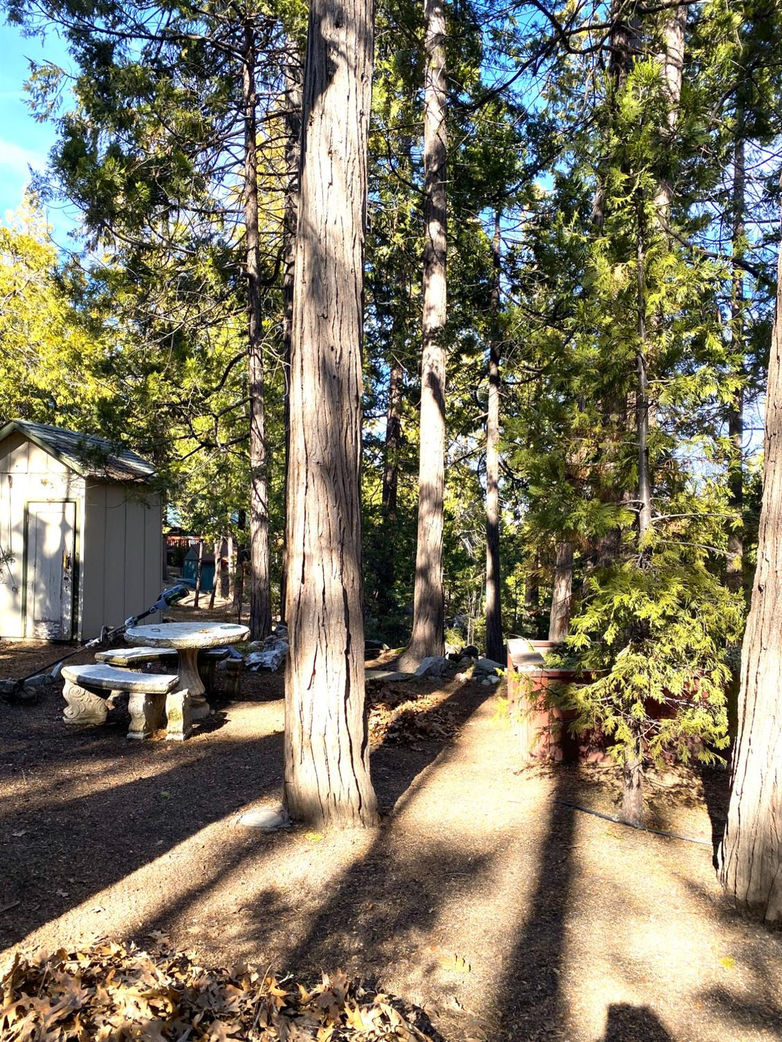 Corlew Lane, Auberry, California image 43