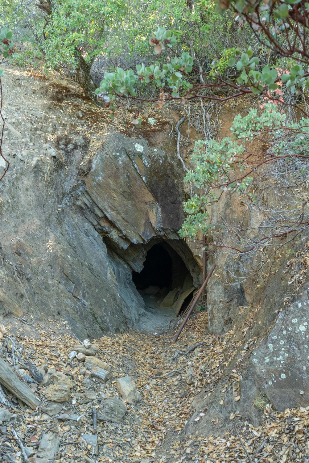 French Gulch Road, Murphys, California image 10