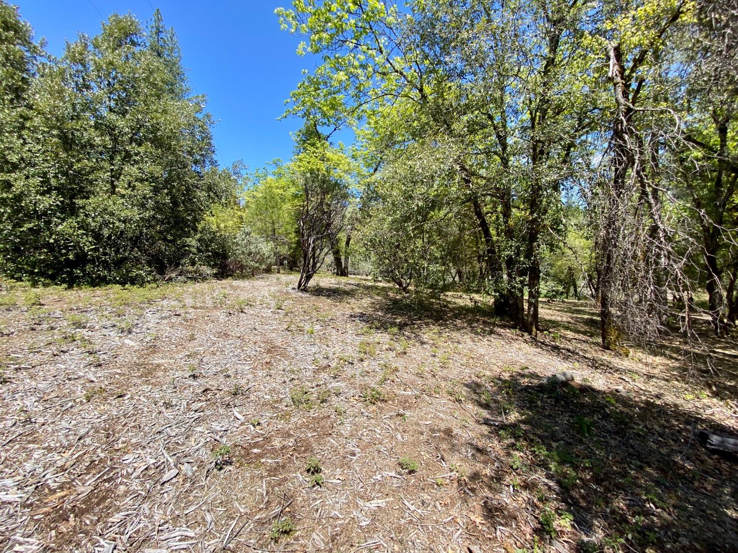 Red Dog Road, Nevada City, California image 30