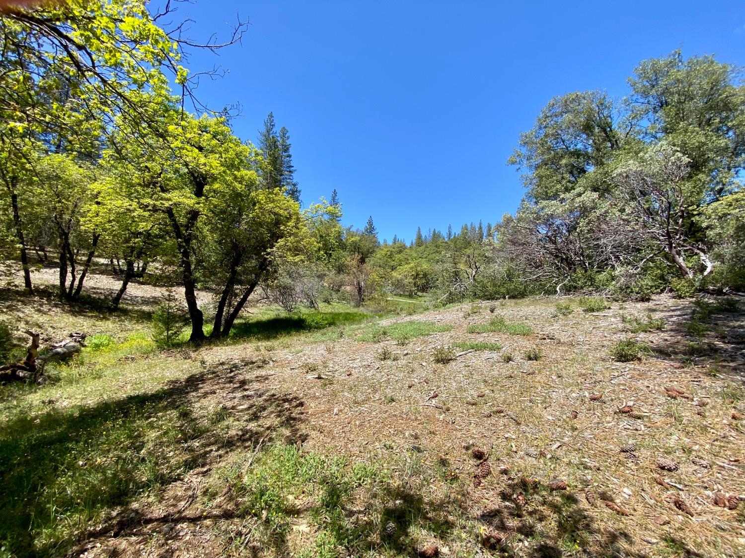 Red Dog Road, Nevada City, California image 19