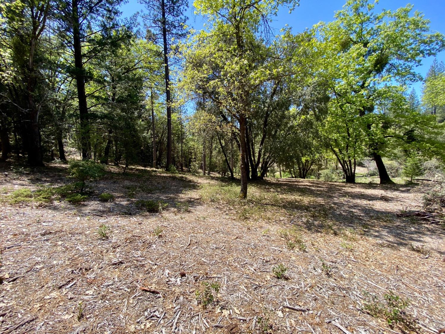 Red Dog Road, Nevada City, California image 13