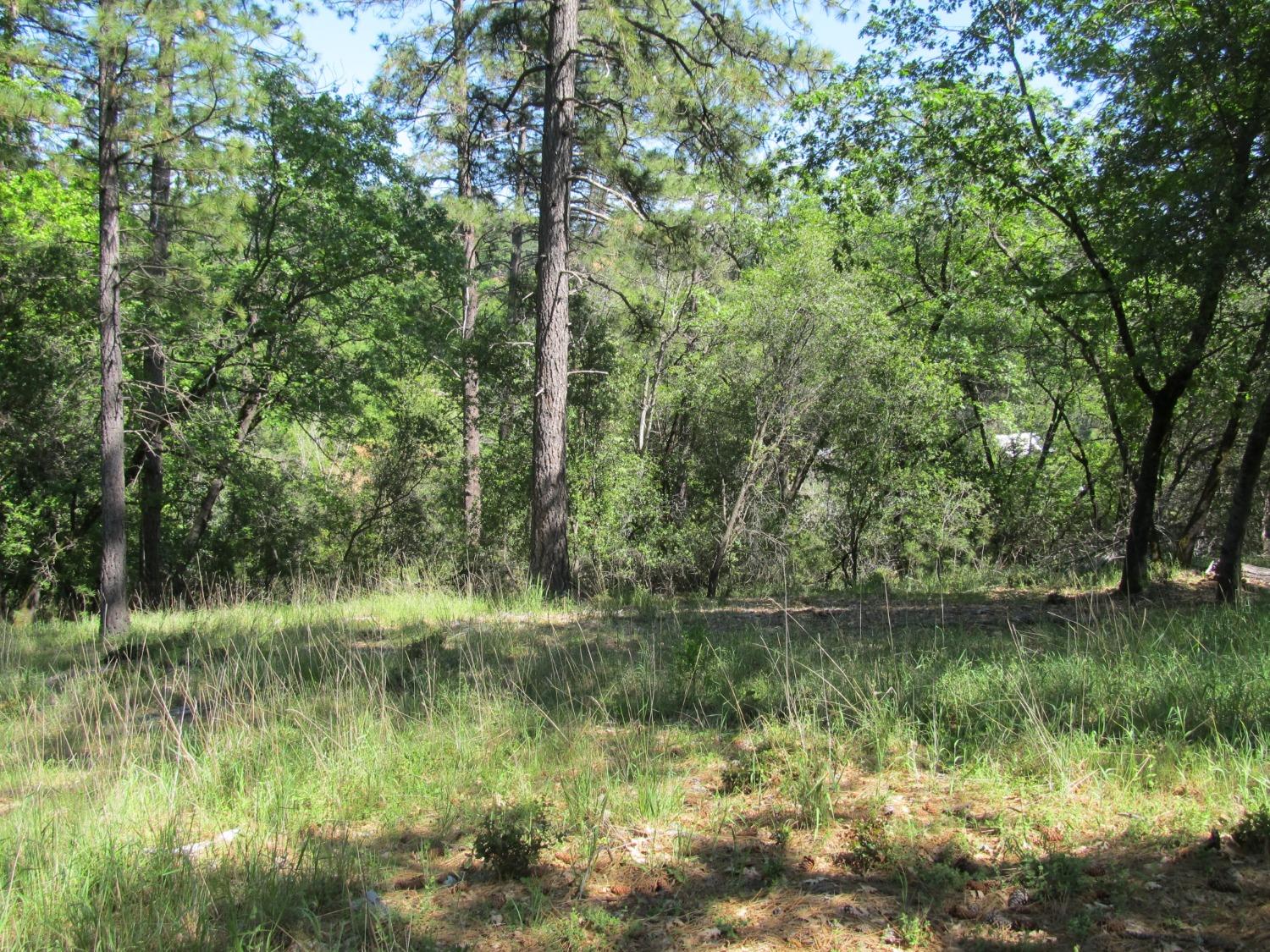 Mona Drive, Placerville, California image 1