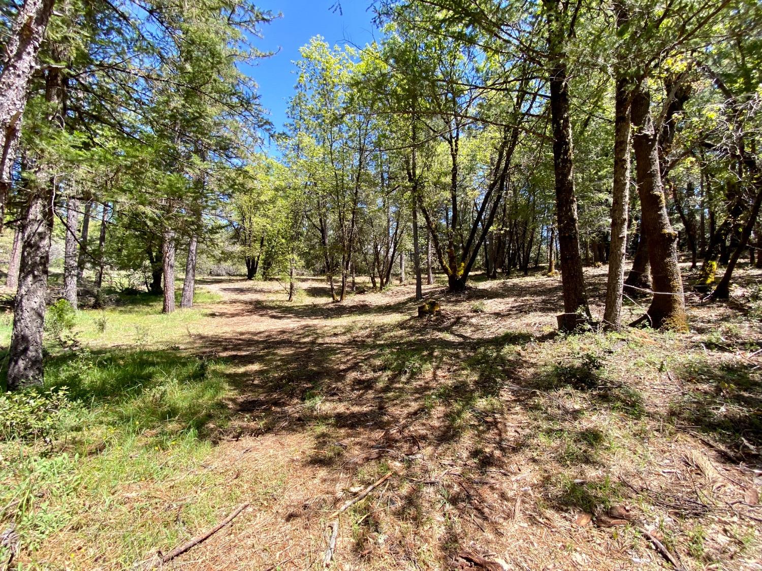 Red Dog Road, Nevada City, California image 23