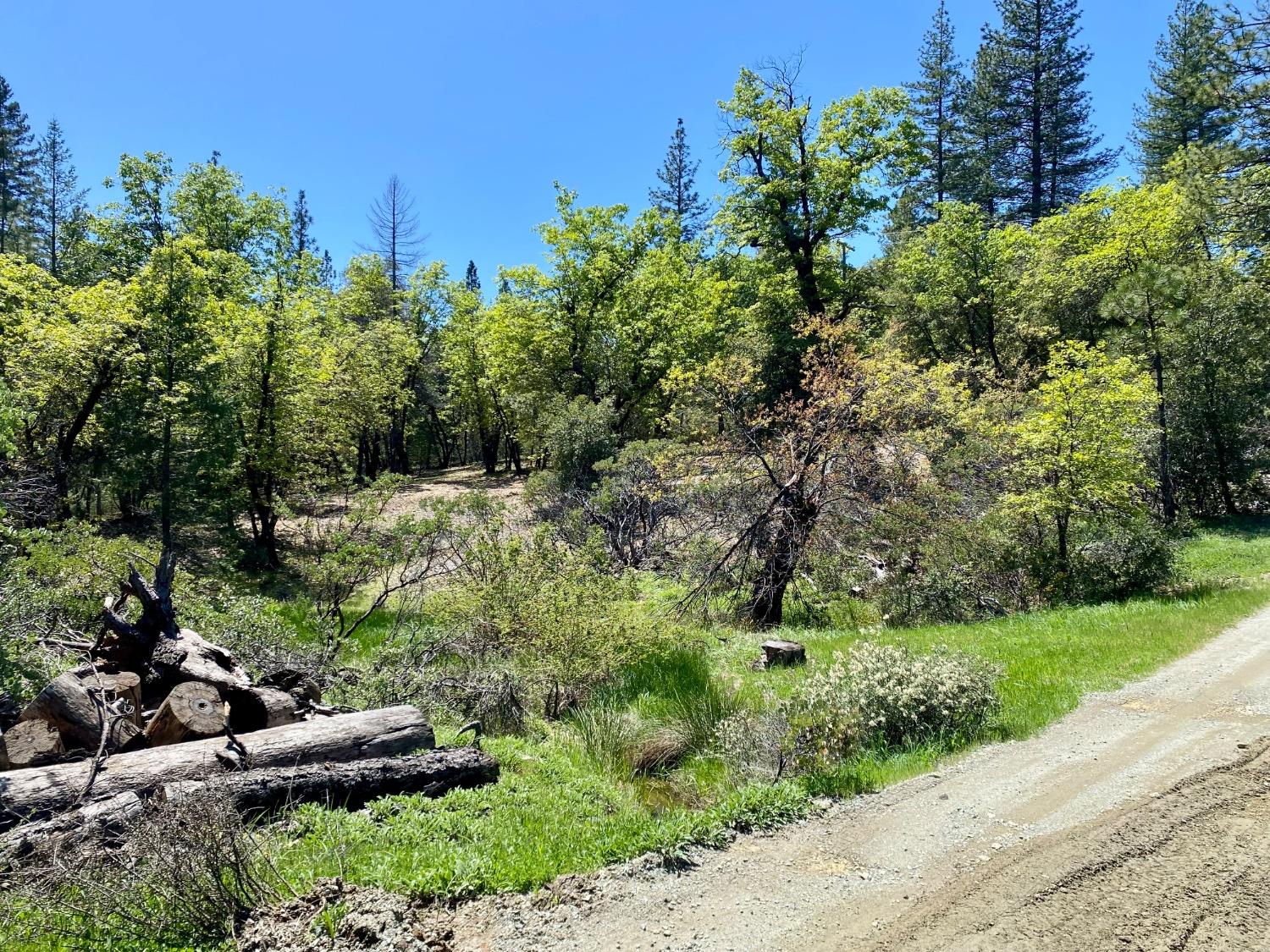 Red Dog Road, Nevada City, California image 36