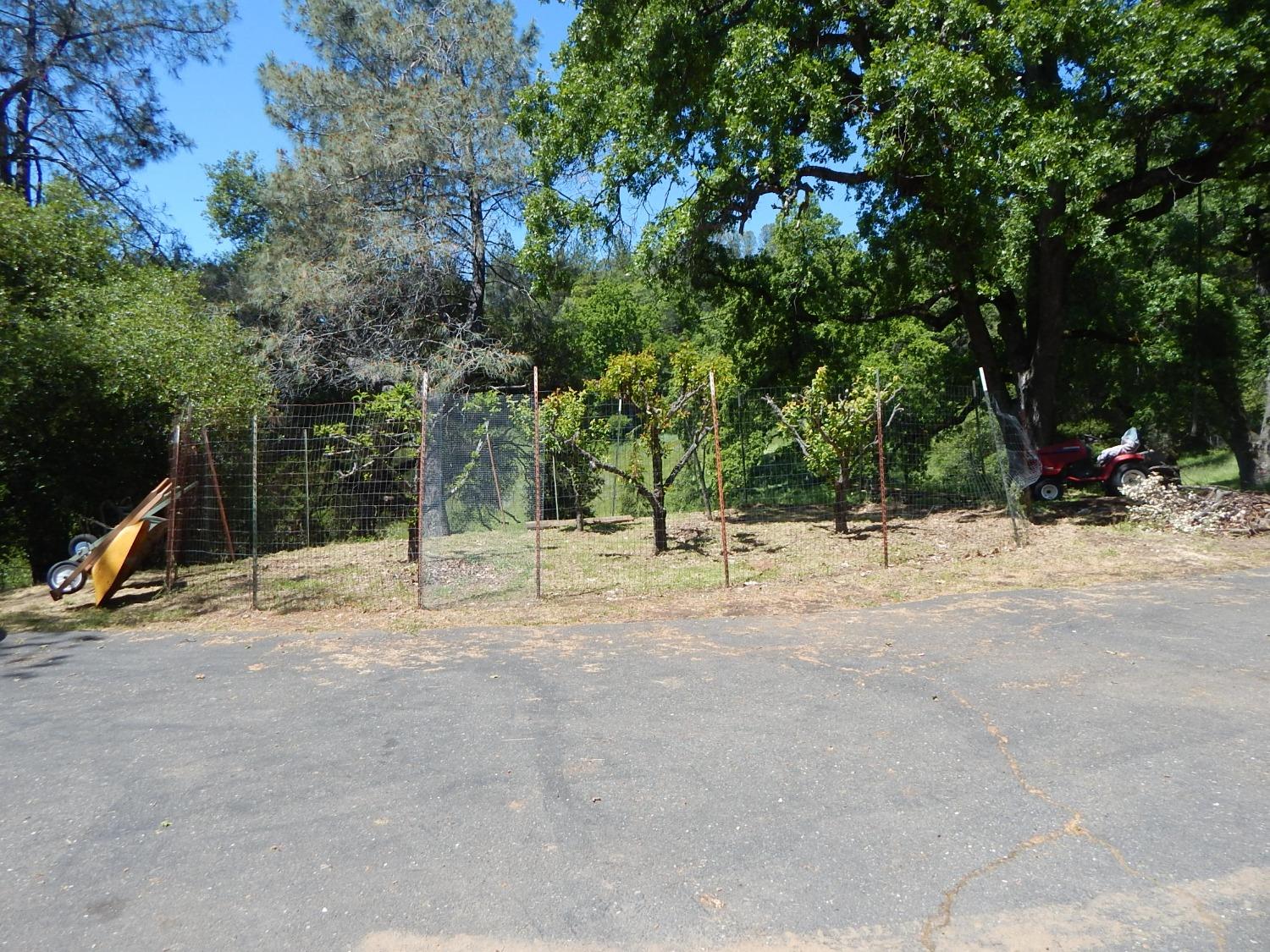 Springer Road, Placerville, California image 7