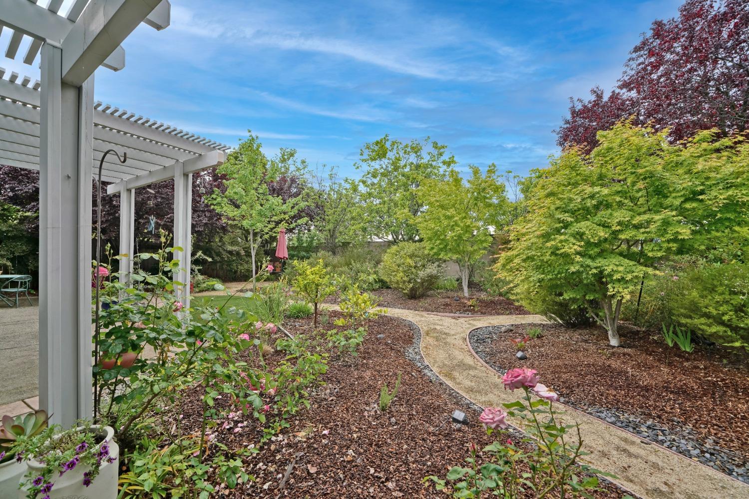 Tahoe Vista Drive, Rocklin, California image 33