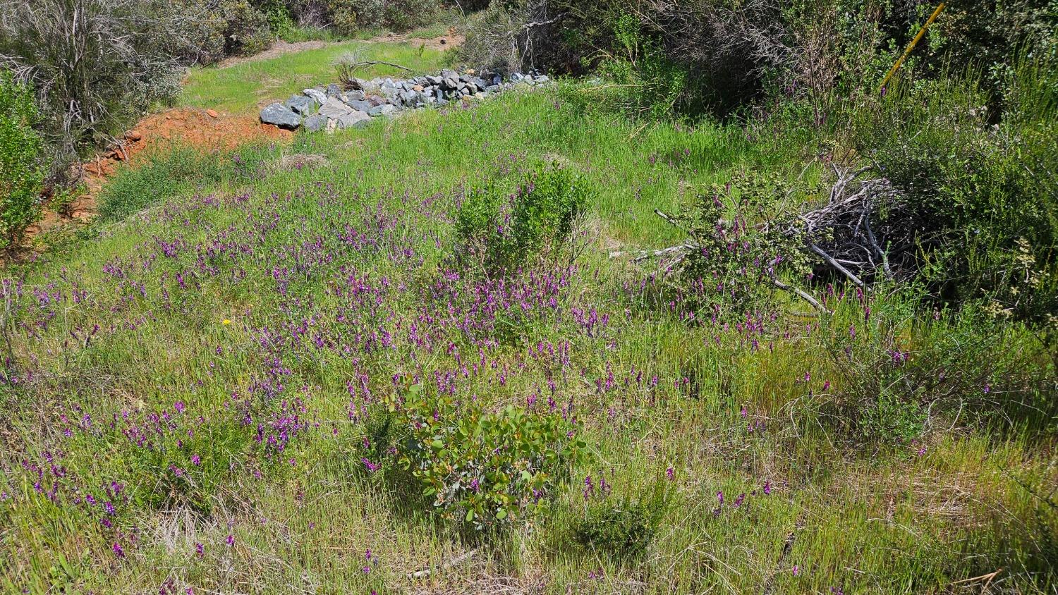Hidden Bridge Road, El Dorado Hills, California image 3