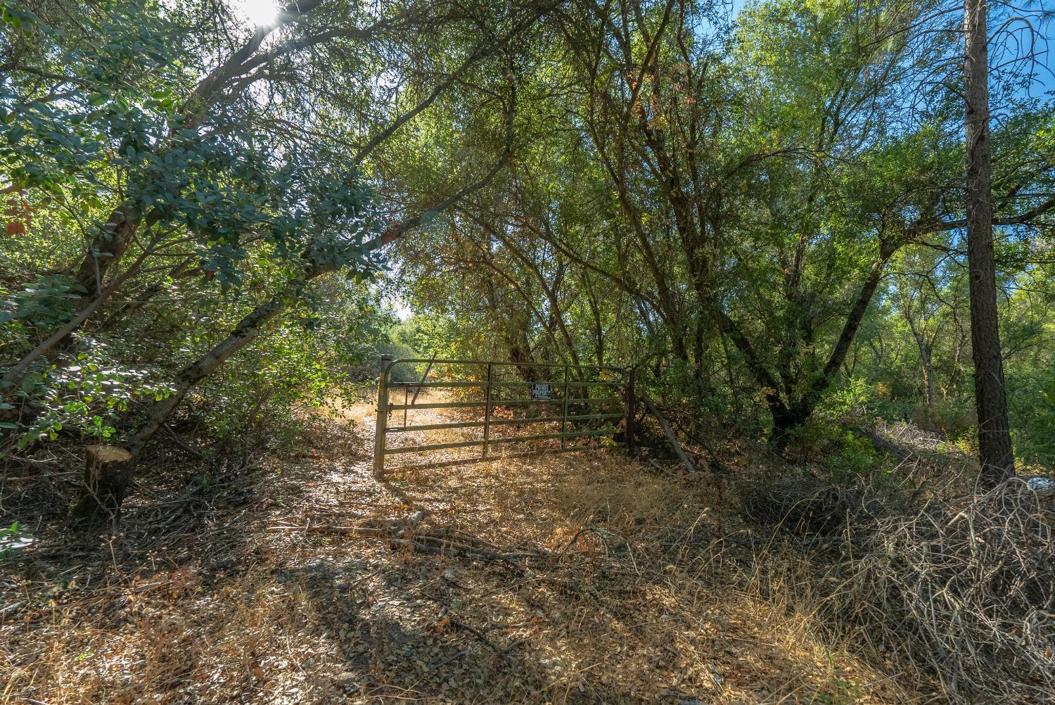 French Gulch Road, Murphys, California image 4