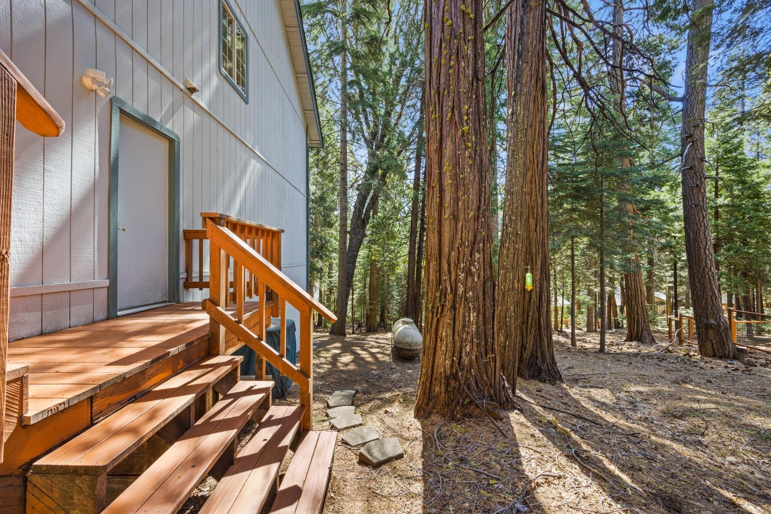 Detail Gallery Image 62 of 73 For 4013 Garnet Rd, Pollock Pines,  CA 95726 - 4 Beds | 3 Baths