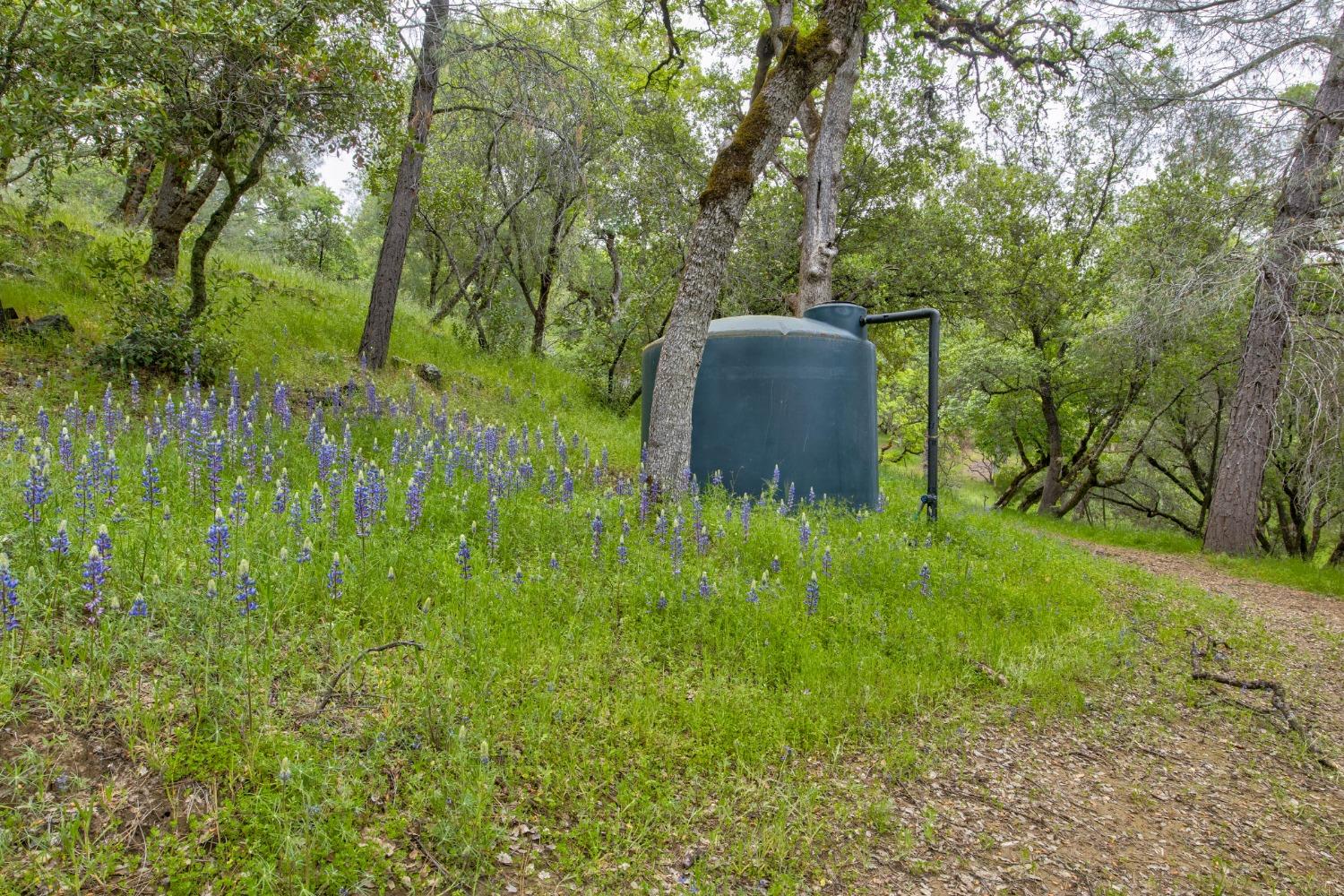 Detail Gallery Image 87 of 97 For 6909 Flat Creek Rd, Somerset,  CA 95684 - 3 Beds | 2/1 Baths