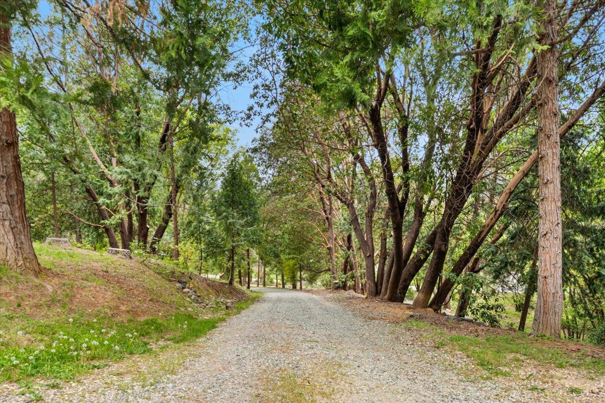 Robinson Road, Nevada City, California image 6