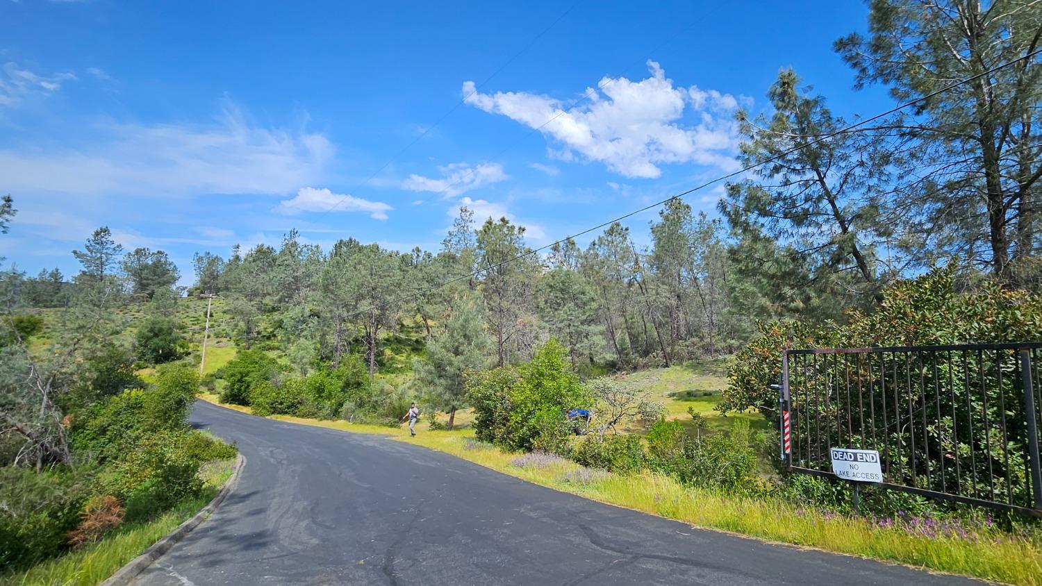 Hidden Bridge Road, El Dorado Hills, California image 12