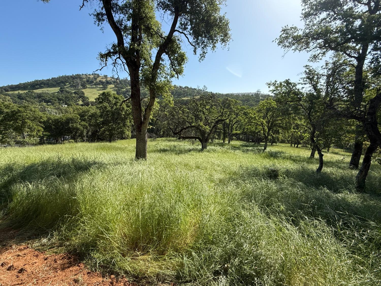 Boulder Way, Smartsville, California image 25