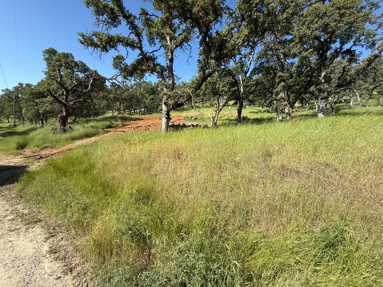 Boulder Way, Smartsville, California image 45