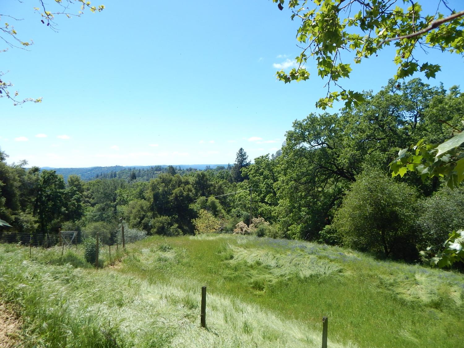 Springer Road, Placerville, California image 13