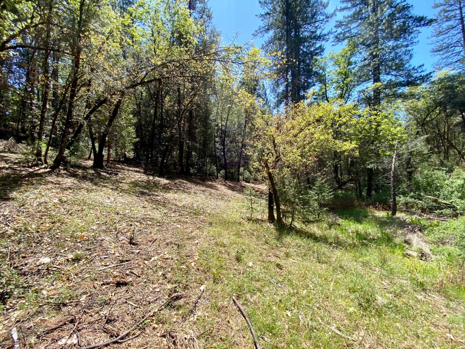 Red Dog Road, Nevada City, California image 22