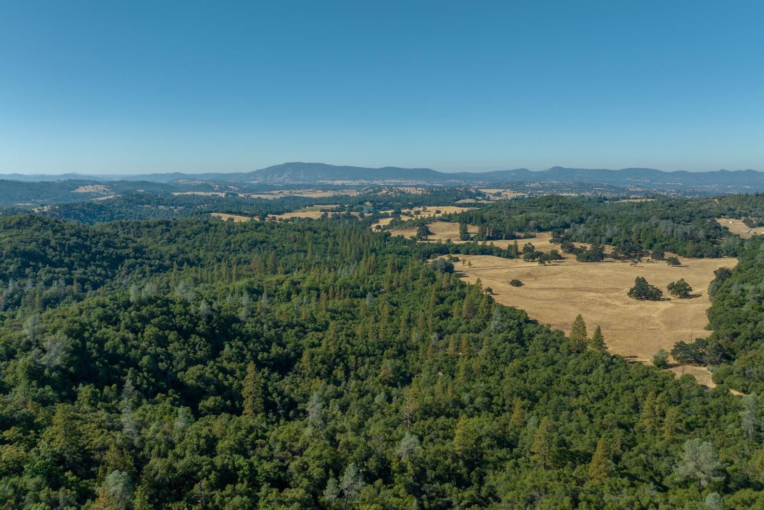 French Gulch Road, Murphys, California image 6