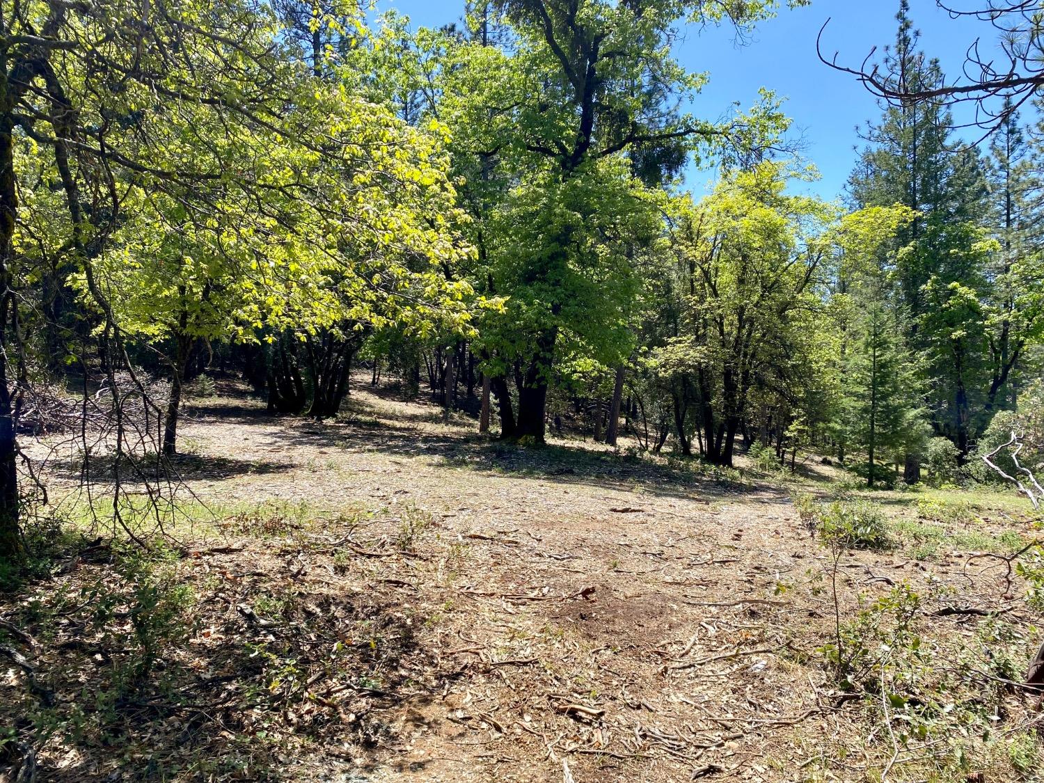 Red Dog Road, Nevada City, California image 12