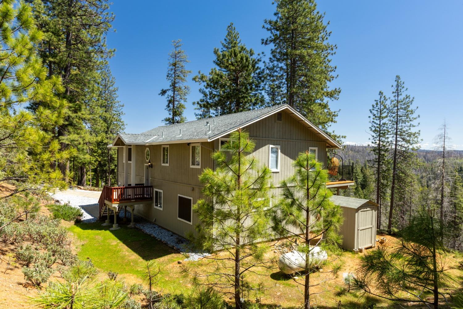 Wildrose Drive, Grizzly Flats, California image 36