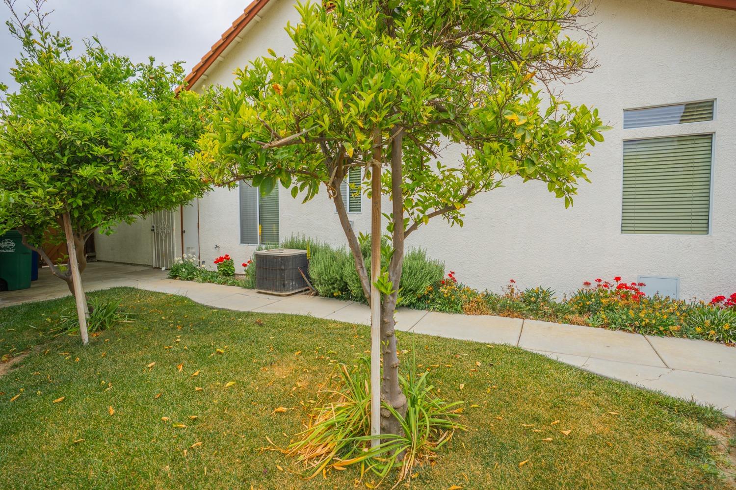 Detail Gallery Image 61 of 62 For 722 Ruddy Ct, Los Banos,  CA 93635 - 3 Beds | 2 Baths