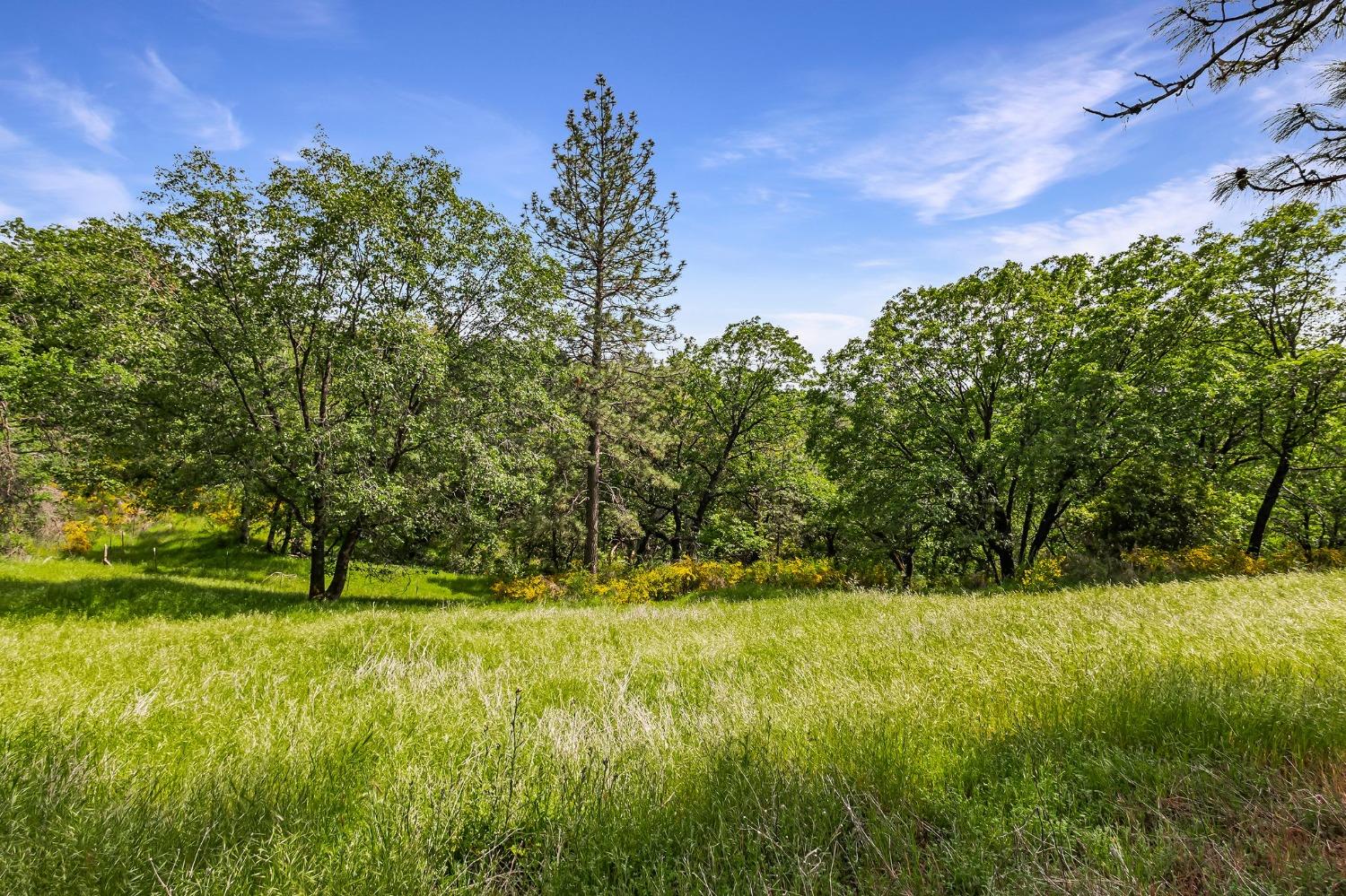 Detail Gallery Image 45 of 71 For 2240 Slate Ct, Greenwood,  CA 95635 - 3 Beds | 2/1 Baths