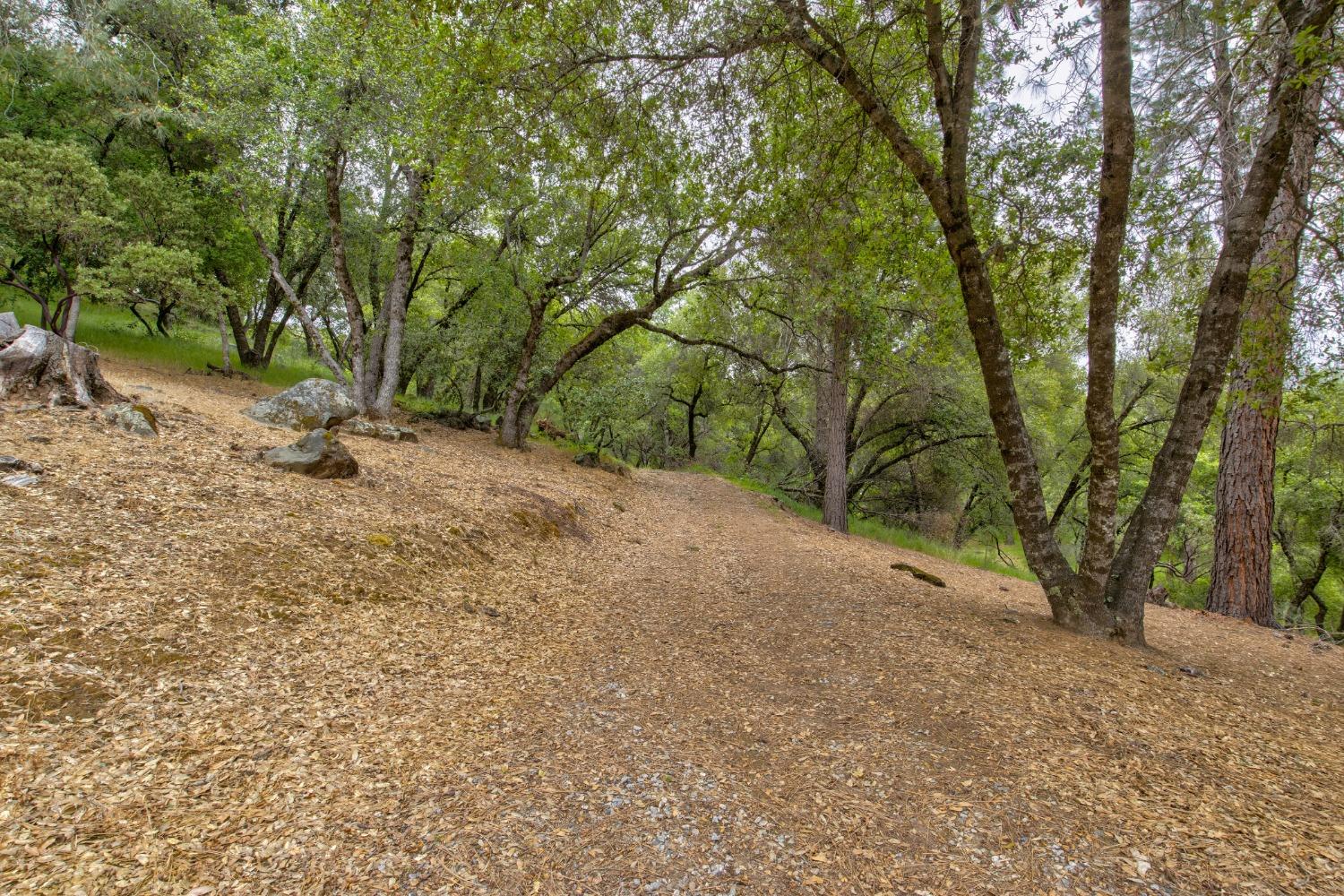 Detail Gallery Image 85 of 97 For 6909 Flat Creek Rd, Somerset,  CA 95684 - 3 Beds | 2/1 Baths