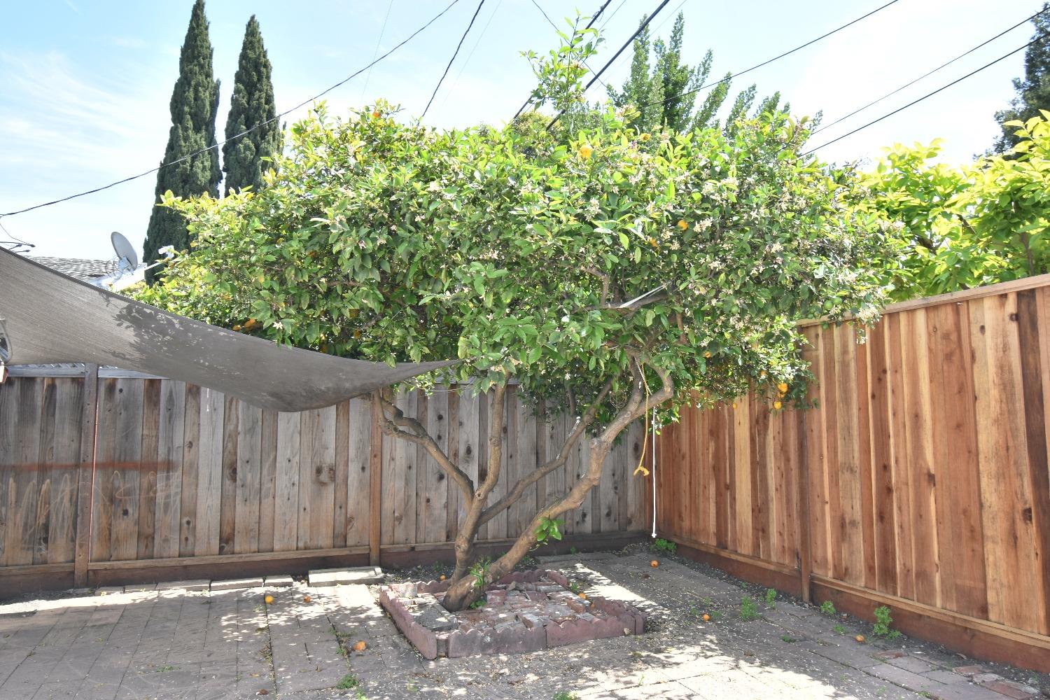 Lakemuir Drive, Sunnyvale, California image 24