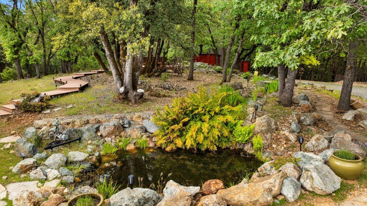 Old Stagecoach Road, Grass Valley, California image 3