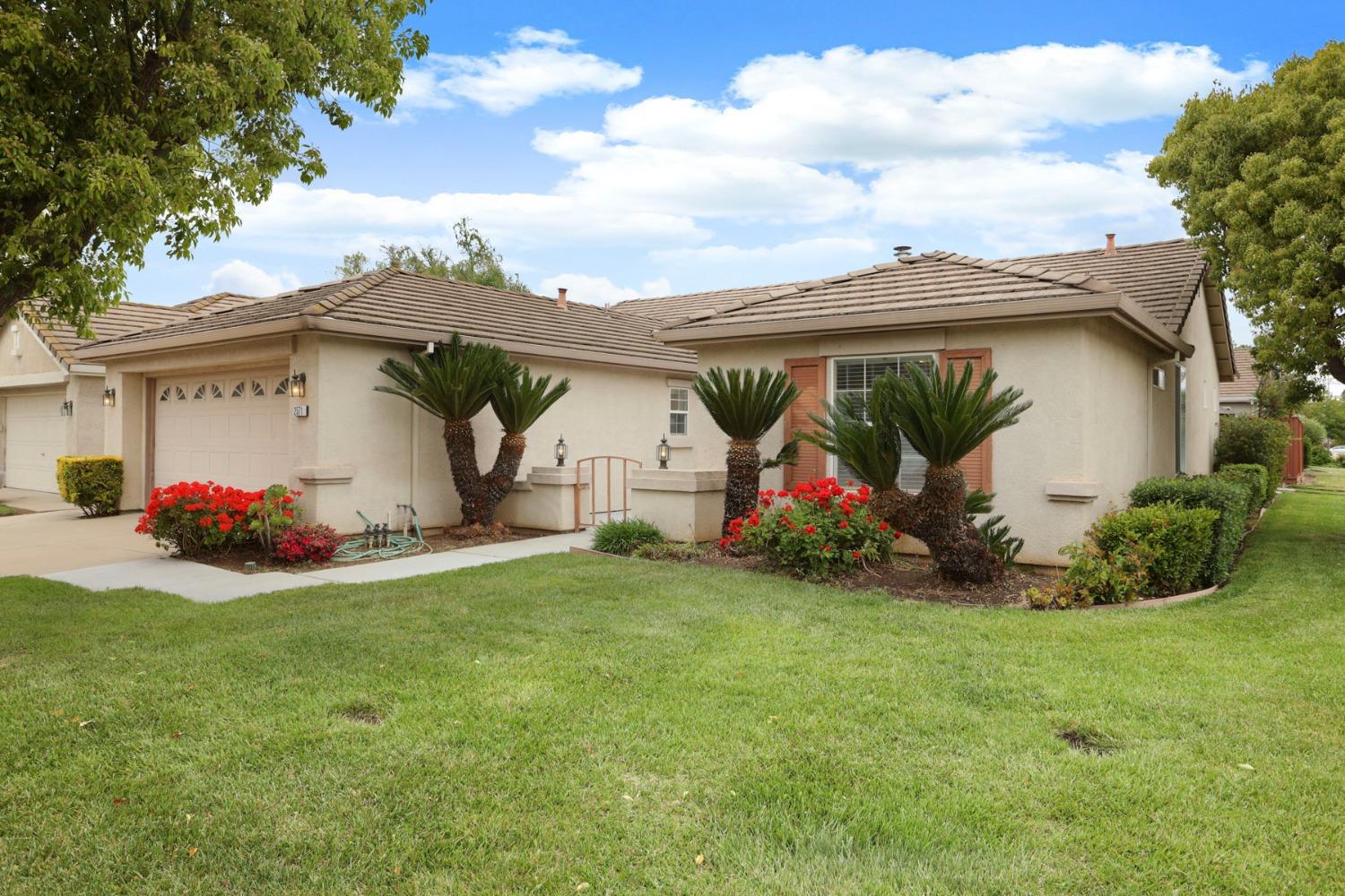 Ponderosa Drive, Lodi, California image 6