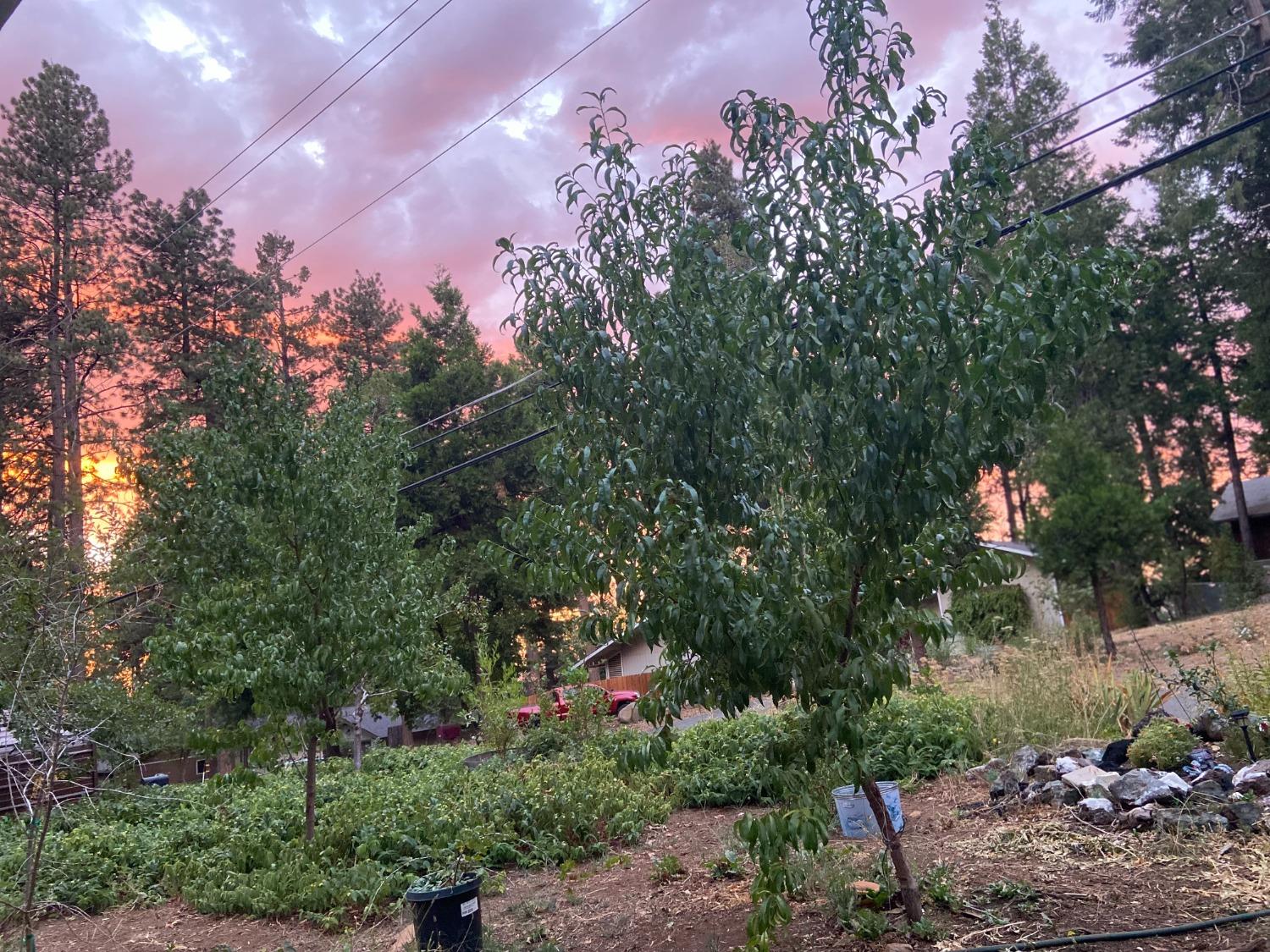 Ridgeway Drive, Pollock Pines, California image 21