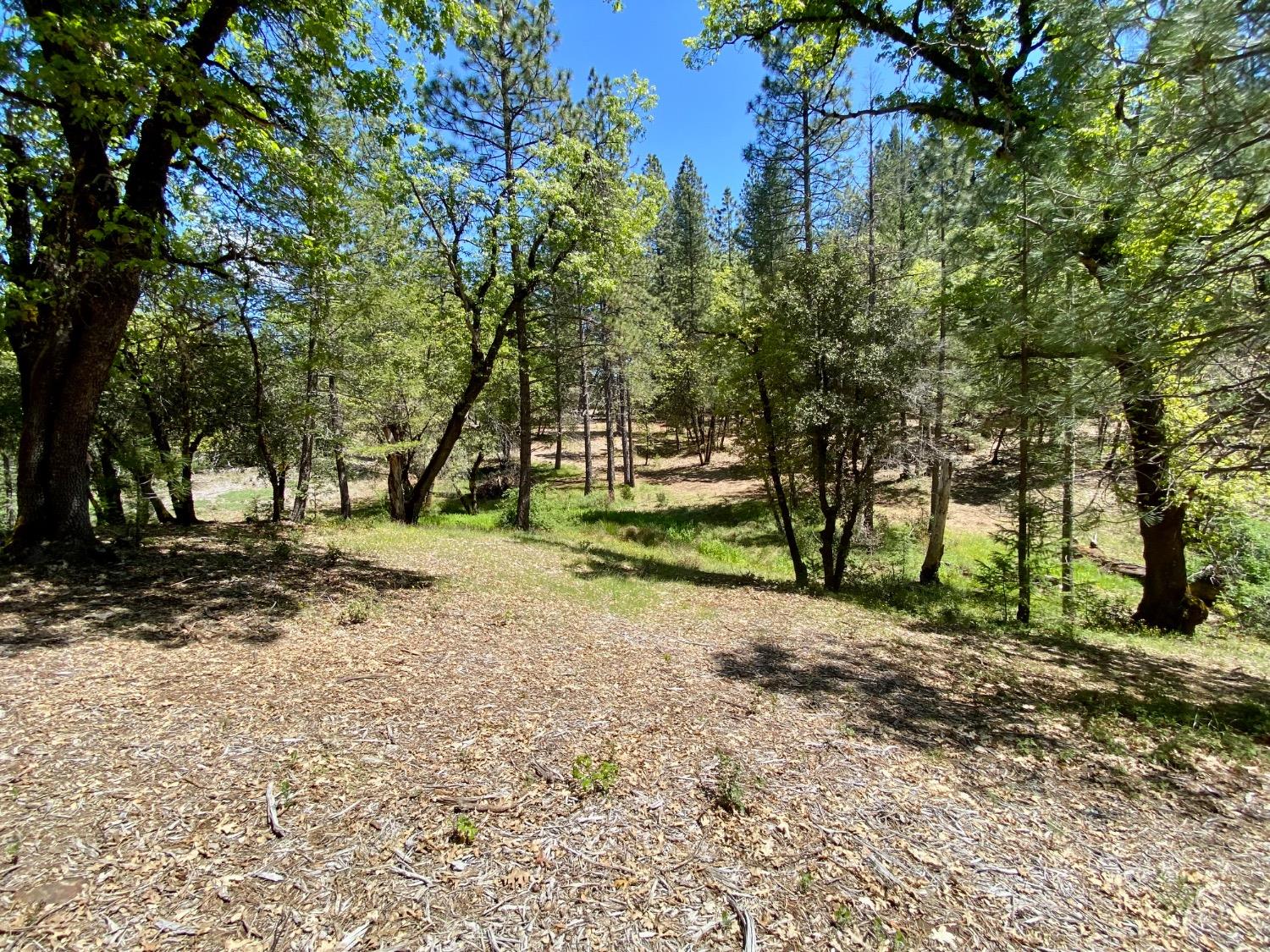 Red Dog Road, Nevada City, California image 26
