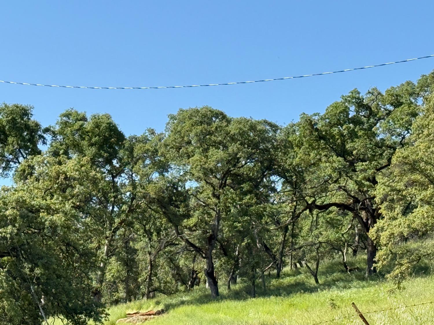 Boulder Way, Smartsville, California image 10