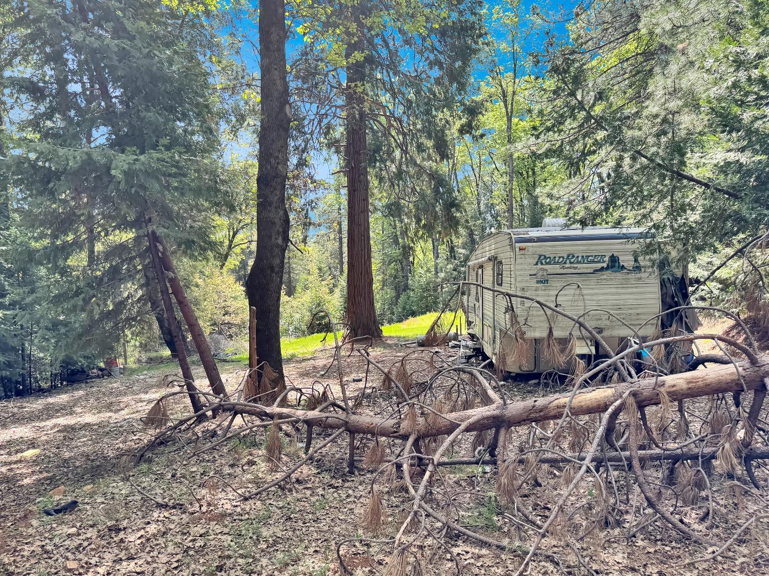 Buckeye Road, Nevada City, California image 20