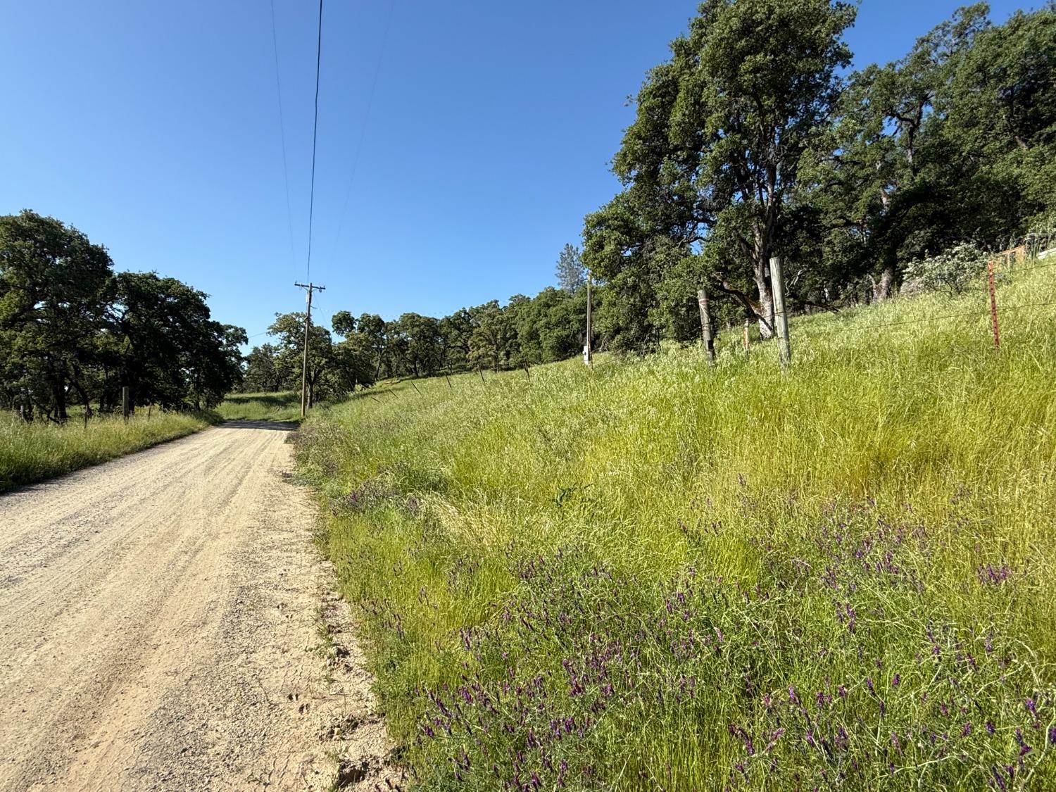 Boulder Way, Smartsville, California image 8