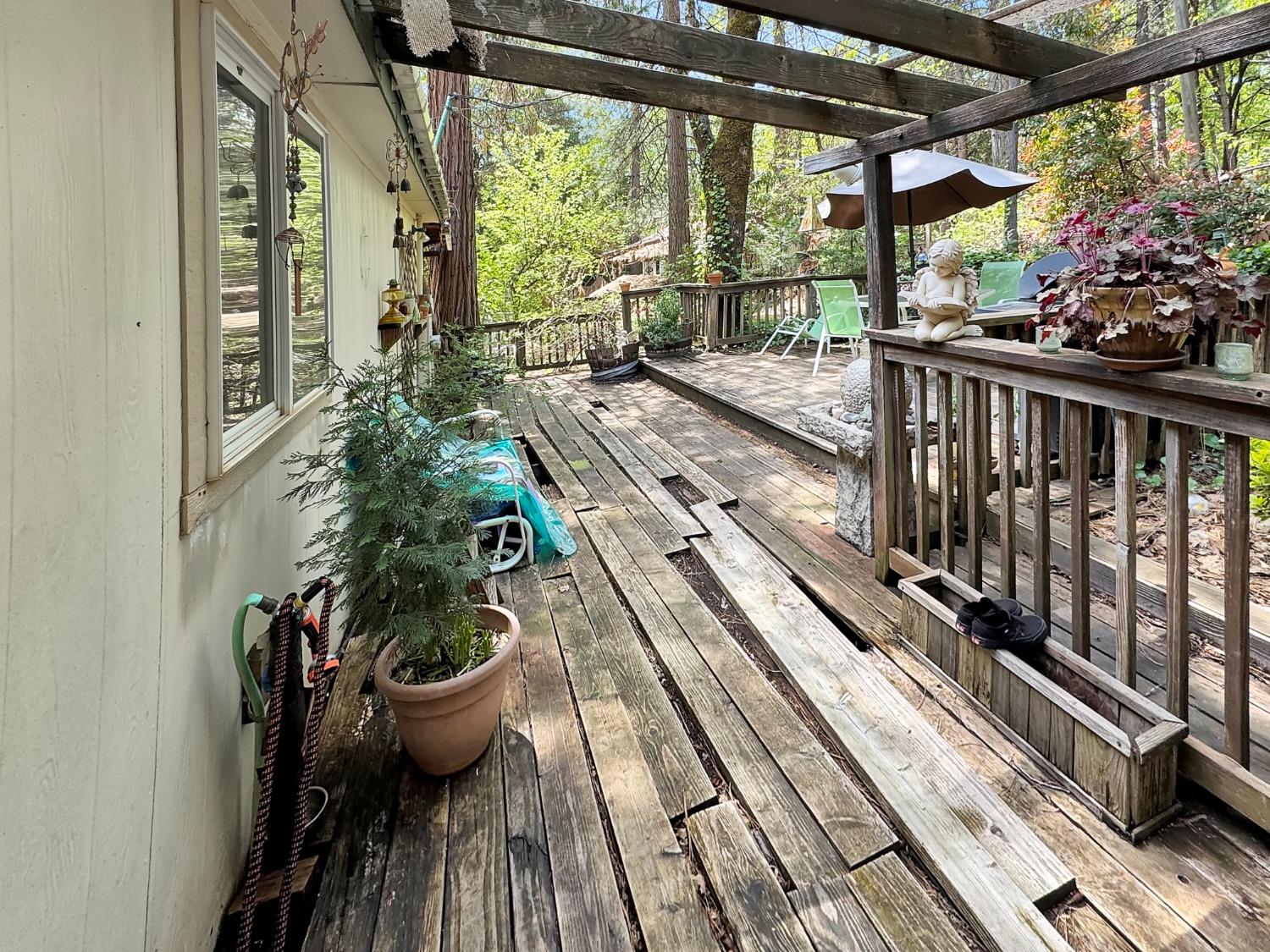 Buckeye Road, Nevada City, California image 13