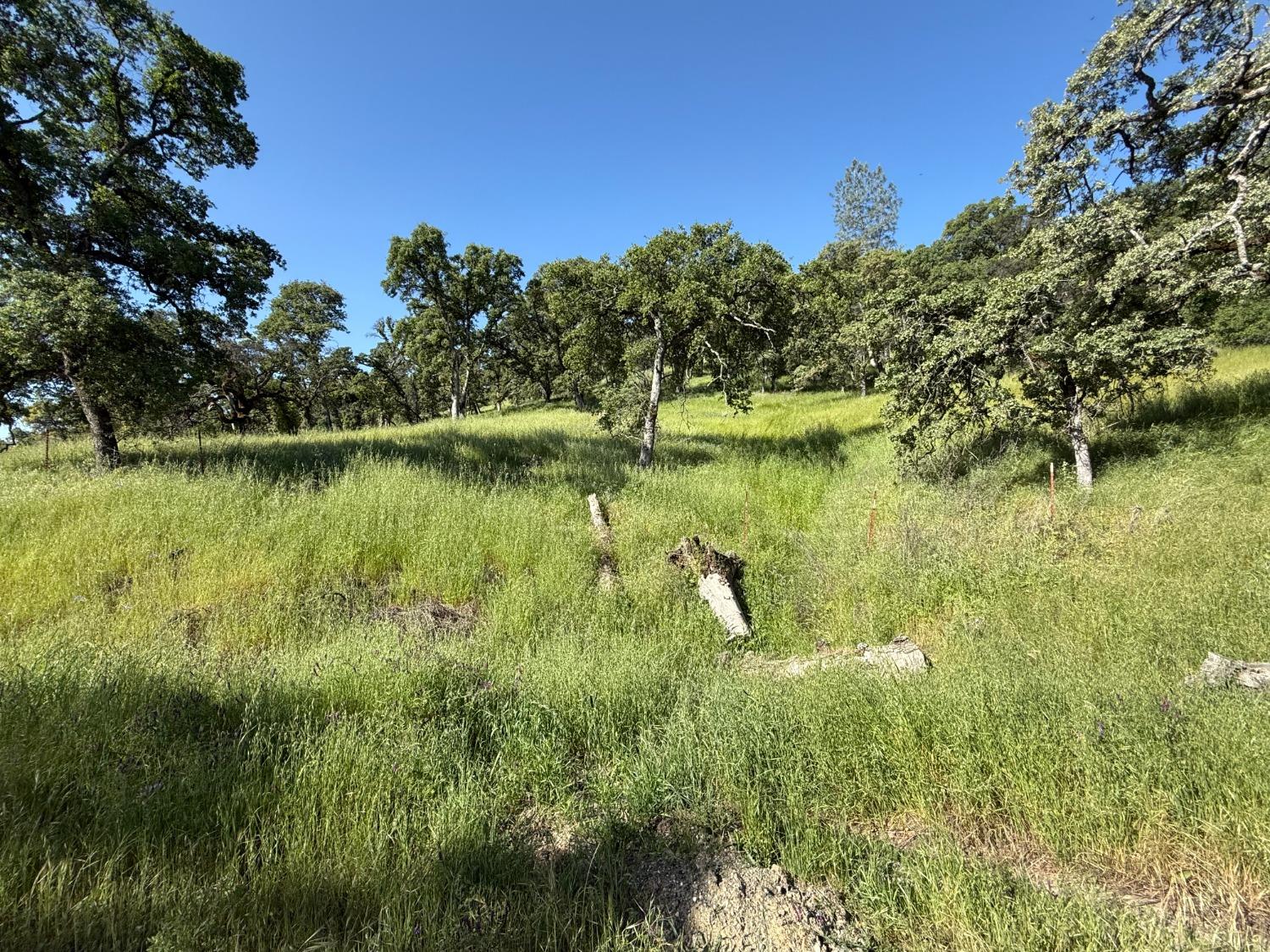 Boulder Way, Smartsville, California image 11