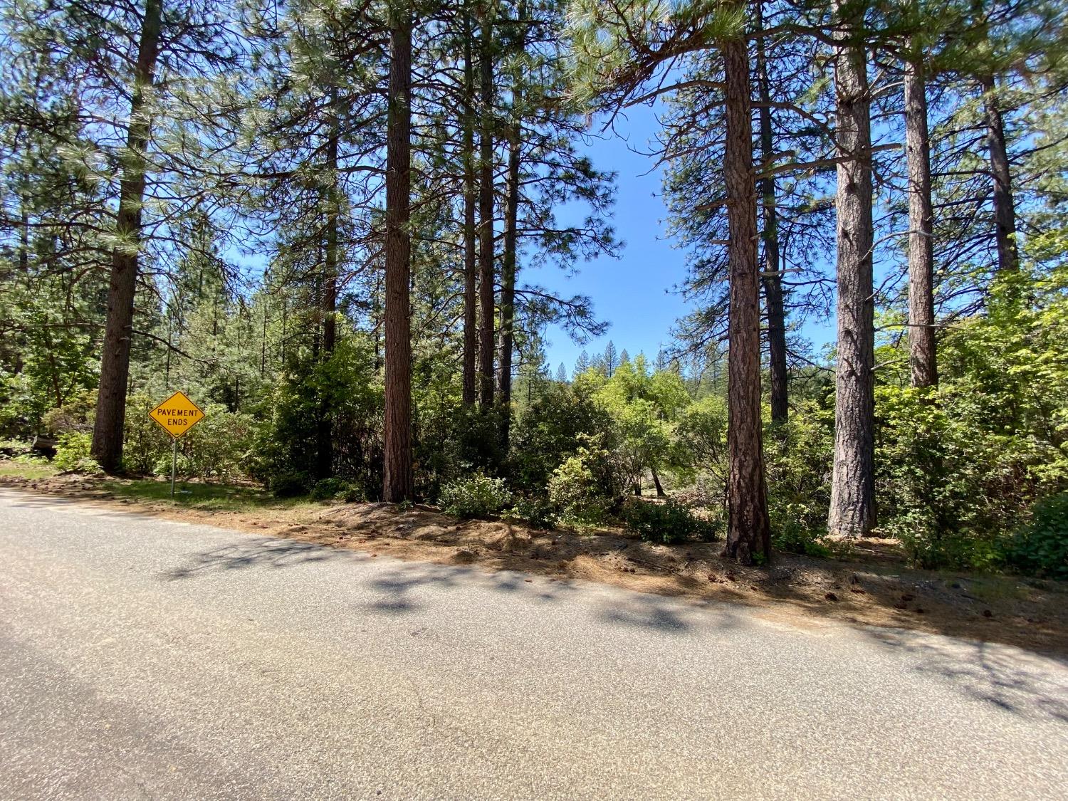 Red Dog Road, Nevada City, California image 7