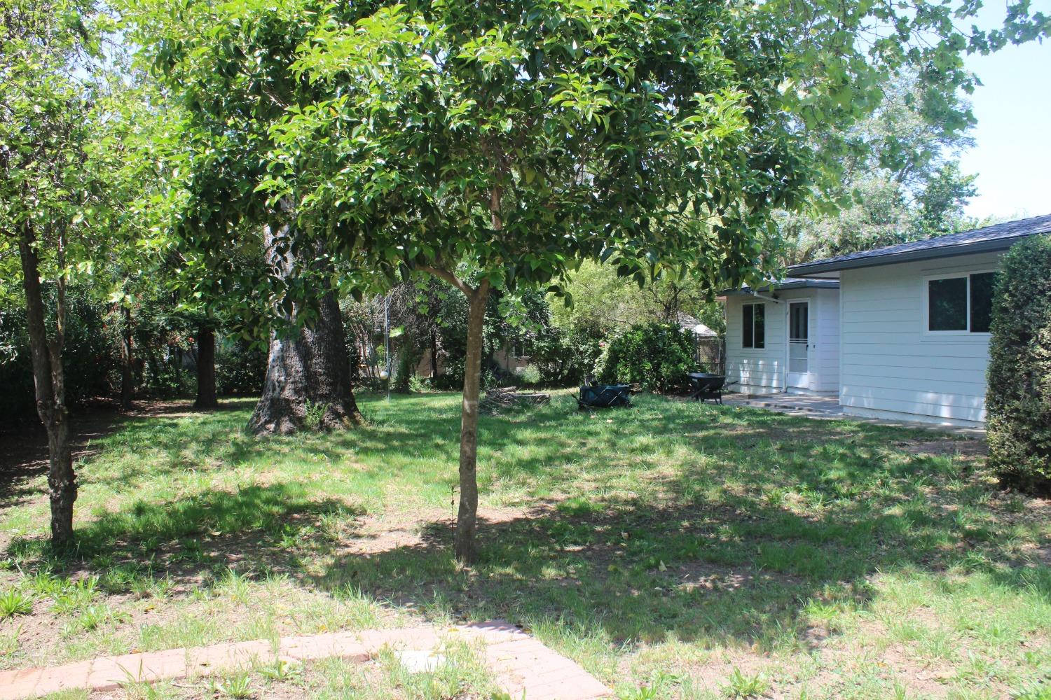 Hazel Avenue, Fair Oaks, California image 5