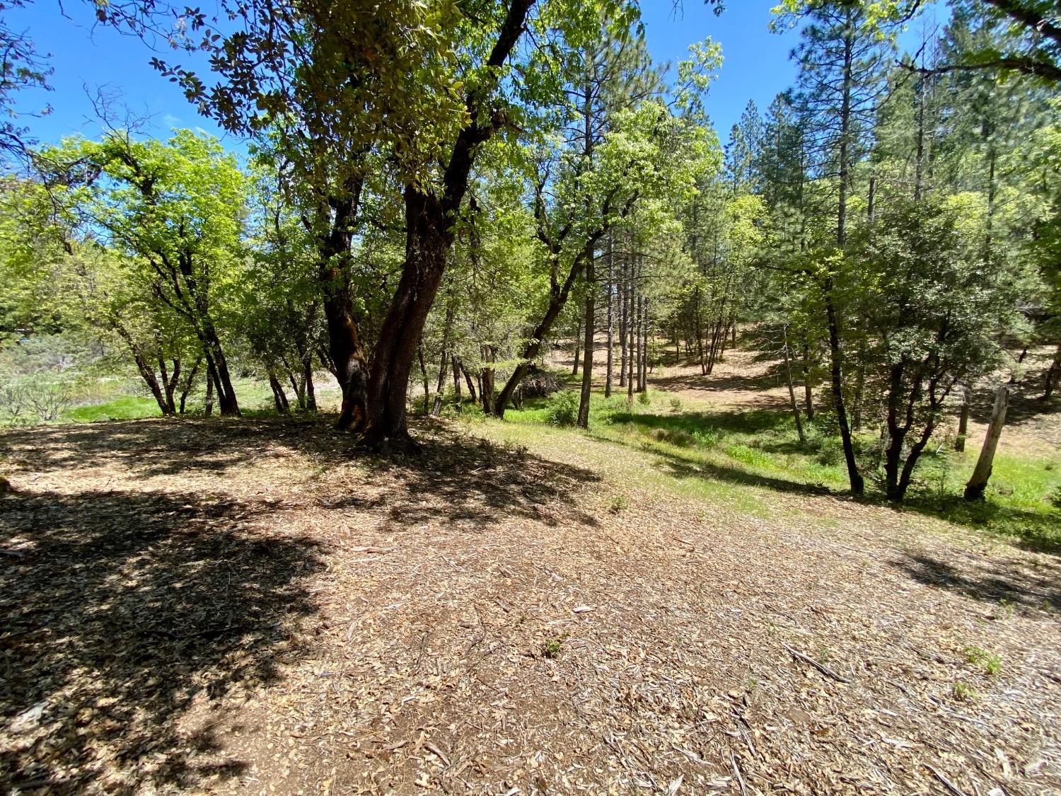 Red Dog Road, Nevada City, California image 4