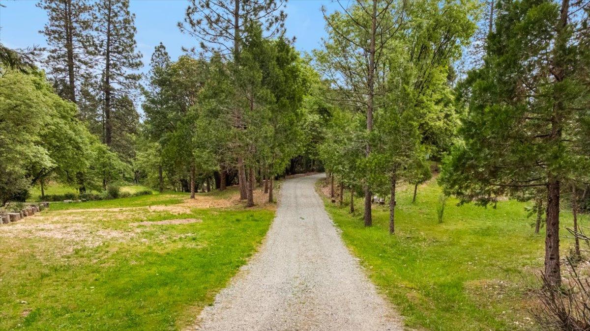 Robinson Road, Nevada City, California image 5