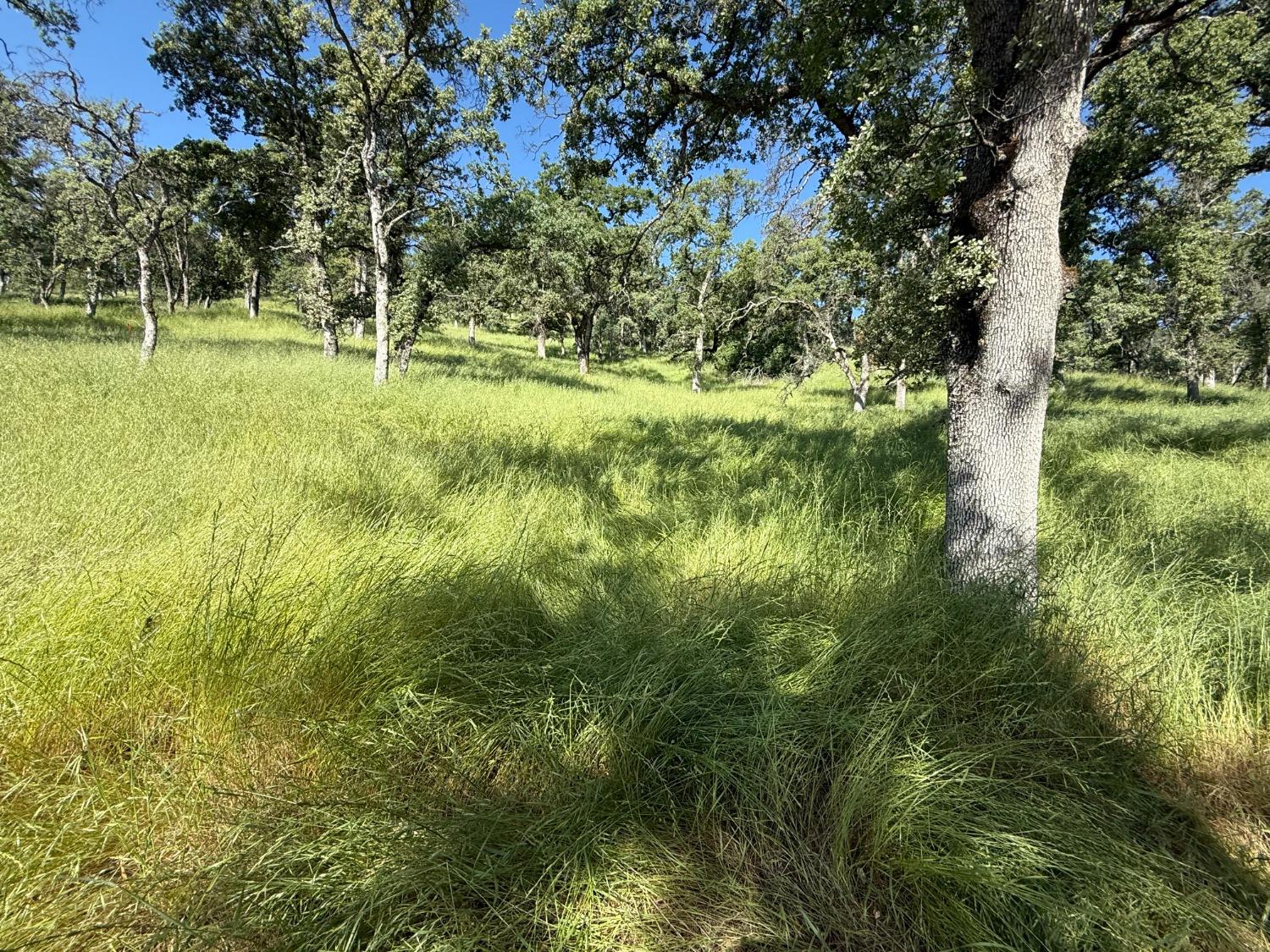 Boulder Way, Smartsville, California image 17